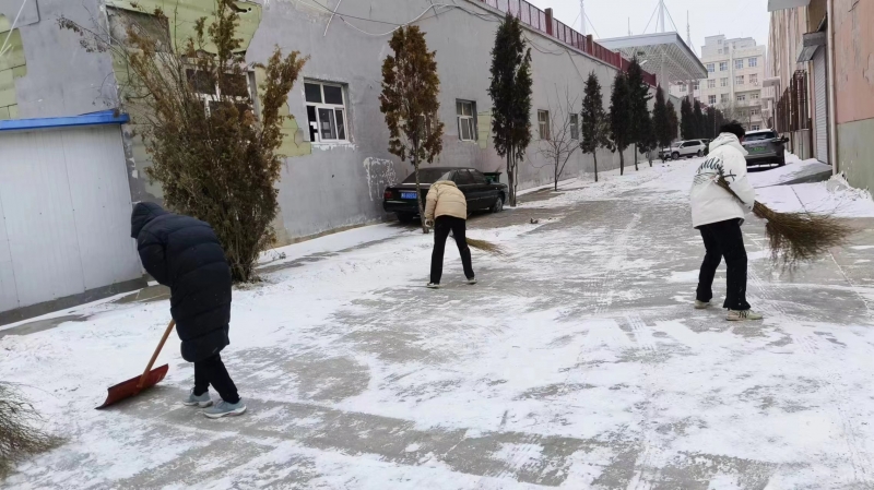 齐心协力，清扫积雪2